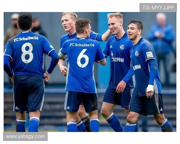 德国降级制度对德甲降级球队的影响研究