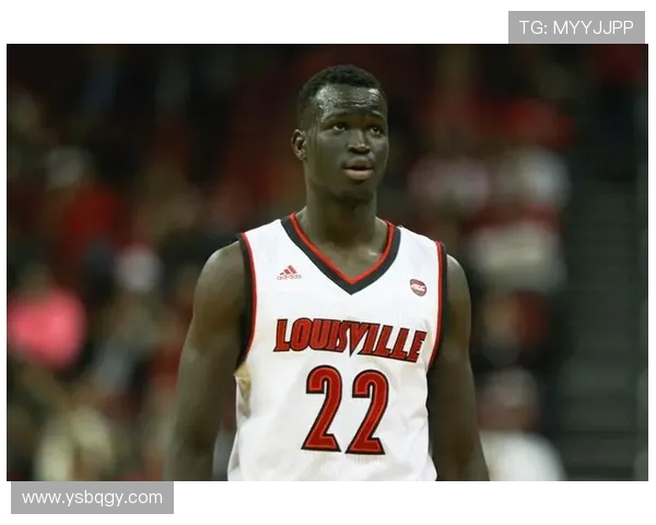 火箭队球员阿德尔生涯介绍与代表作精选 火箭队球员阿德尔生涯介绍与代表作精选