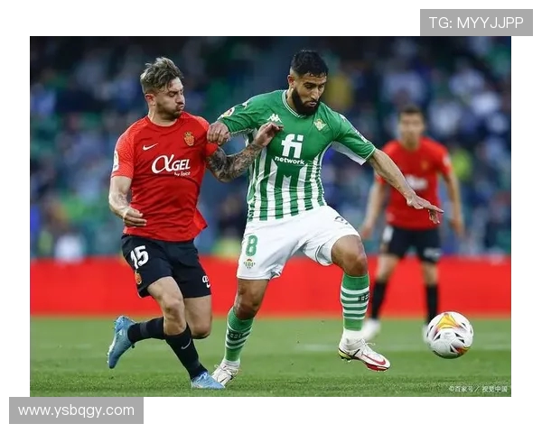 霍霍芬海姆对阵曼城直播焦点大战全程实时解析精彩对决赛前预测与阵容分析