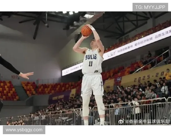 NBL今日战报：焦作文旅战胜盐南苏科雄狮威姆斯表现出色砍下20分11篮板